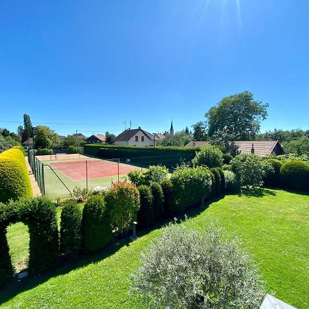 "Ma Vie La" Alsace Bed & Breakfast Kingersheim Dış mekan fotoğraf